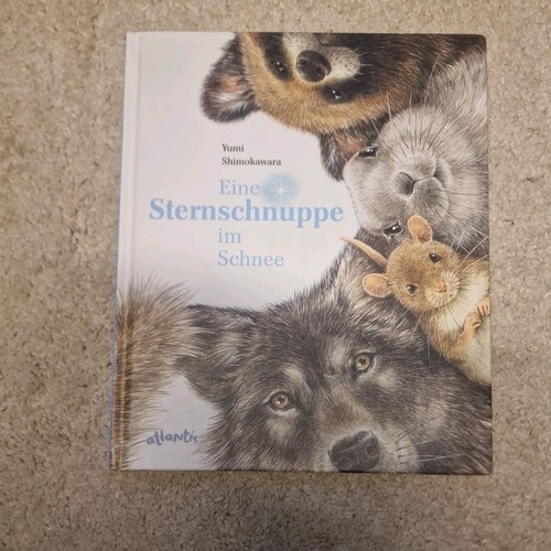 Eine sternschnuppe schnee - sternschnuppe,