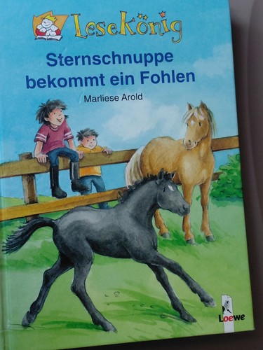 Kinderbuch sternschnuppe - kinderbuch,